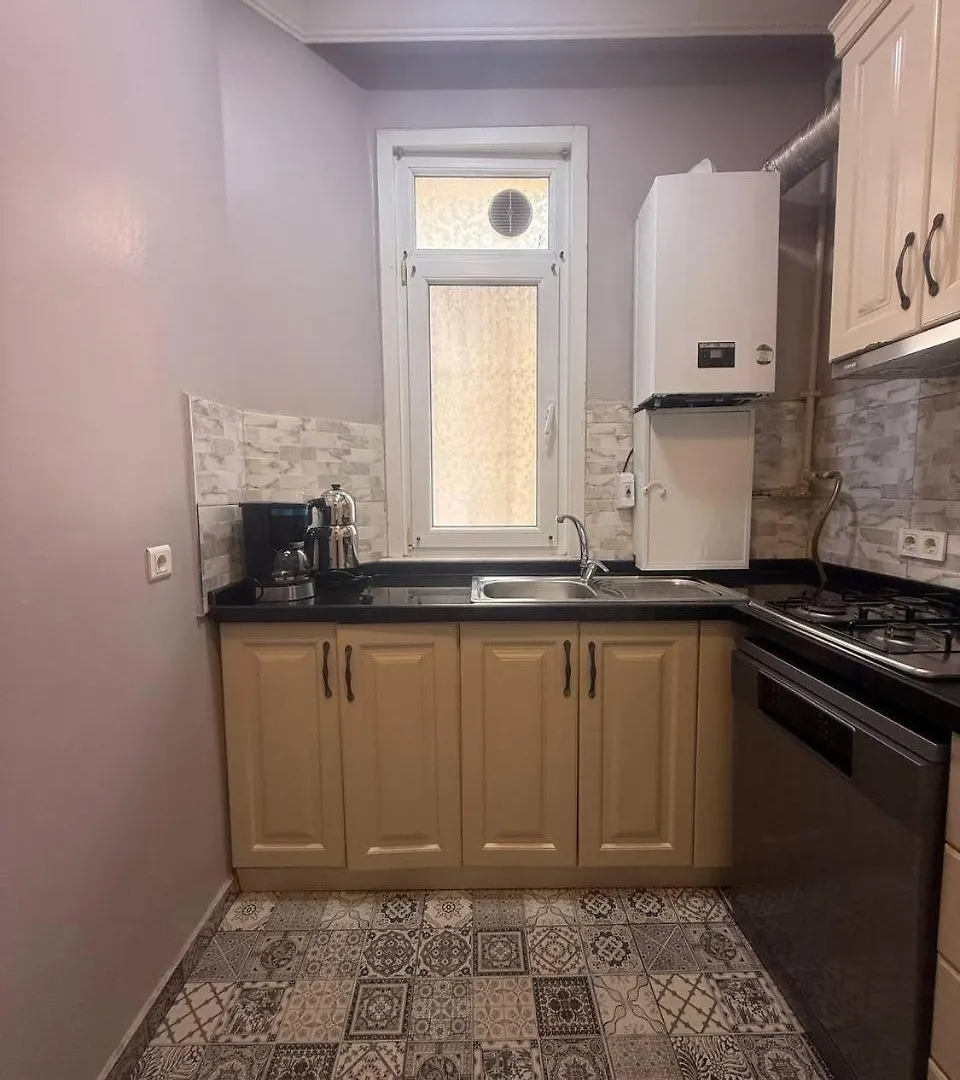 Apartment Elegant 3Br Apt, Palace Style, 4Ac, Balcony, 5 Min To Taksim #S3 Istanbul
